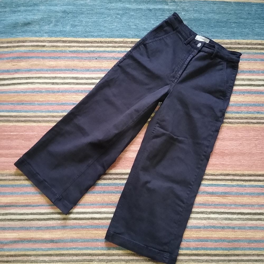 Everlane High Waist Wide Leg Crop Navy (4 ankle)